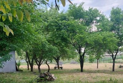 Casă cu 2 camere în Câmpenești - 4