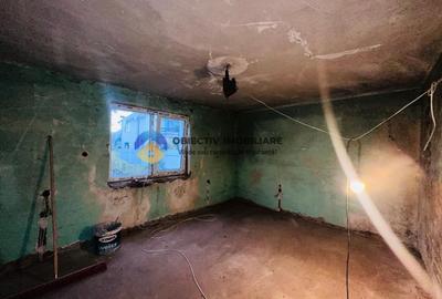 Casa + teren de vanzare - Savinesti - 14