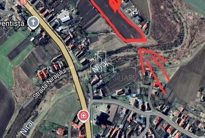 Teren 9 253 Mp Intravilan De Vanzare, ideal pentru Case, Ungheni - 1