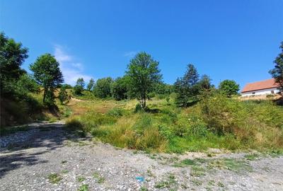 Teren Intravilan in zona Trei Ape, 6889 Mp., 14,5 Euro/Mp., - 7