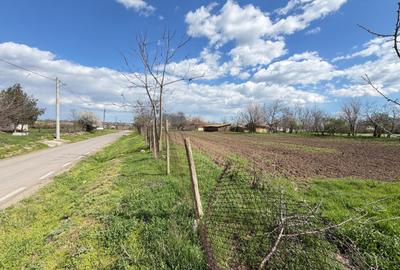 Teren Construcții intravilan de 1000 mp, în Mihai Viteazu - 7