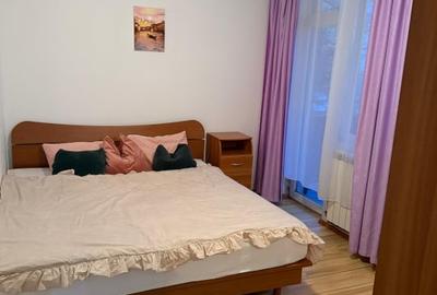 Apartament cu 2 camere semidecomandat, mobilat în Bună Ziua - 2