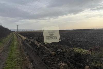 Teren extravilan in EXCLUSIVITATE 20300 mp in Sura Mica - 1