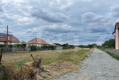 ???? Teren intravilan 1503 mp cu dubla deschidere Aleea - 3