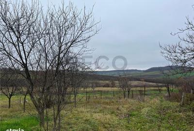 Teren de 500 mp, în Hidiș - 1