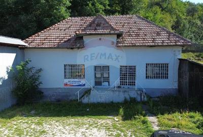 Spatiu comercial si casa de vanzare in Furnicosi. - 10