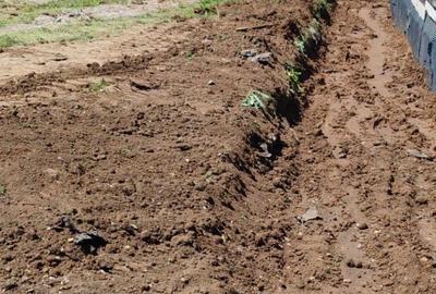 Vanzare teren intravilan, 417 mp, 2,5 km fata de Primarie, Str 23 August-Otopeni - 6