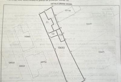 Casa in zona Cosbuc (str Dorobanti) - 11