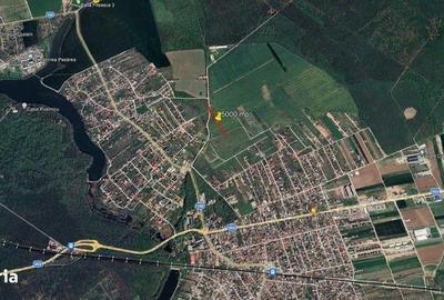 Teren de 5000 mp, în Brănești - 4