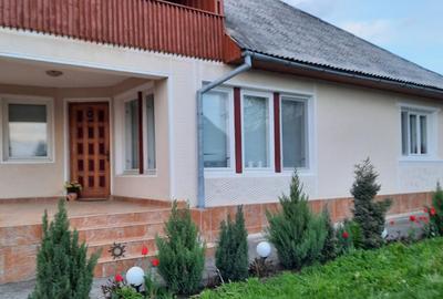 Unguras, casa , 6 ari teren - 10