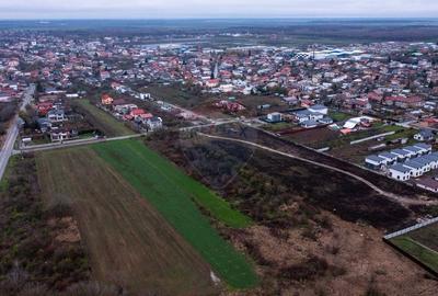 Vanzare teren intravilan 10.000mp Afumati - Strada Teiului - 11
