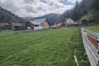 Spațiu comercial, în Vama Buzăului - 3