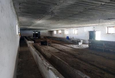 Ferma cu hale 3000 mp si teren 12000 mp, 30 km de Constanta - 2