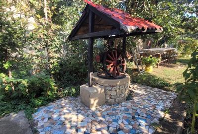 Casa rustica cu traditie -  P+M  - constructie BCA -teren 506mp -159.000 Euro - 9