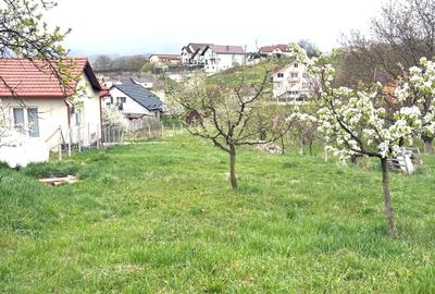 Teren Construcții intravilan de 600 mp, în Dumbrava 2 - 3