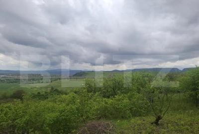 Teren de 2691 mp, în Turda - 4