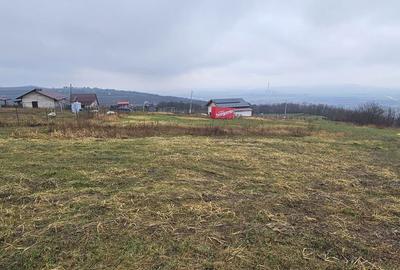 Spațiu comercial, în Chicerea - 4