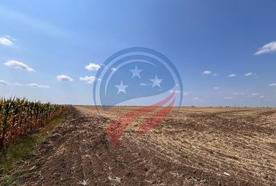 Teren de 5041 mp, în Pielești - 10