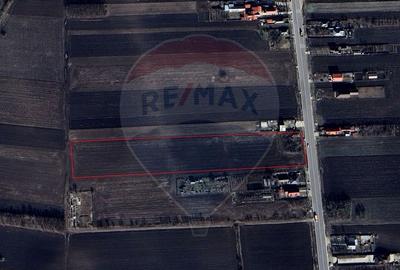 Teren Construcții intravilan de 19100 mp, în Secuienii Noi - 2