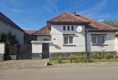 Casă cu 3 camere în Archita - 2