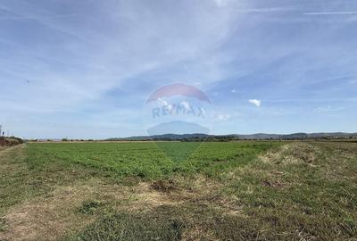 Teren Investitii 2.5 Ha | Zona Tetarom III Rascruci - 1