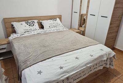 Dristor Benzinaria Mol apartament mobilat si utilat. - 5