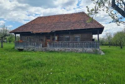 Casă cu 7 camere cu Teren 20855 Mp în Central - 6