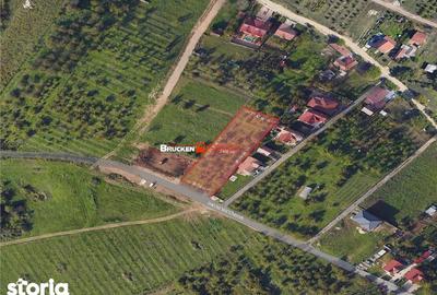Teren de 2400 mp, în Iorga - 4