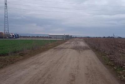 De vanzare terenuri intravilane intre Chilieni si Ozun - 1