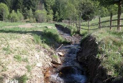 Teren de 3000 mp, în Dorna-Arini - 2