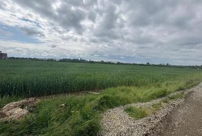 Teren de 5000 mp, în Balotești - 1