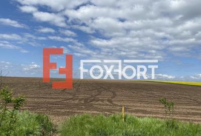 Teren Agricol | Opurtunitate investitie | Sananadrei - ID V713 - 5