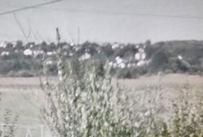 Teren de 4778 mp, în Bascov - 2