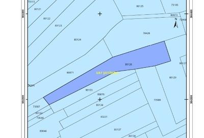 Teren agricol intravilan de 5268 mp, în Șotânga - 2