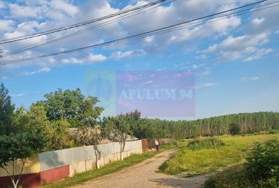 Se vinde teren 4200 mp in Teisori Giurgiu - 3