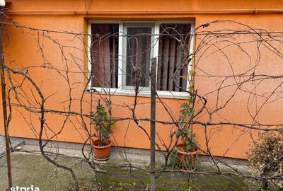 Casă cu 5 camere cu Teren 1347 Mp în Giarmata - 4