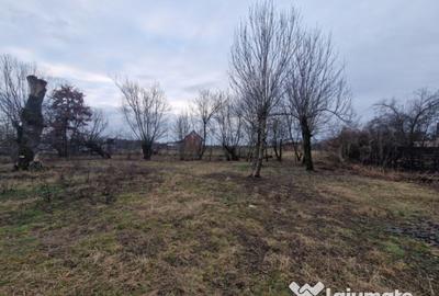 Casă cu 3 camere cu Teren 1800 Mp în Mogoșești - 2