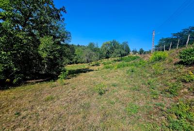 Teren intravilan 2322 mp, Păcuri – vedere superbă spre pădure! - 11