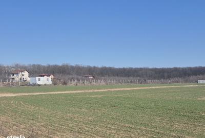 Spațiu comercial, în Balotești - 2