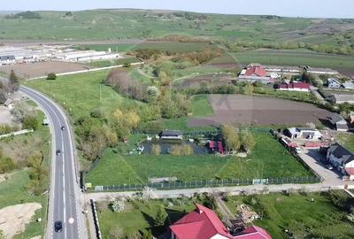 Teren Ilisesti cu Iaz 5174 mp/ Strada Principala - 4