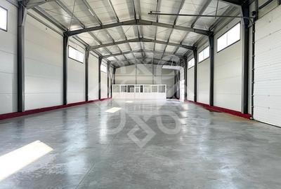 Hala pentru depozitare 400 mp Calea Borsului, Oradea - 2