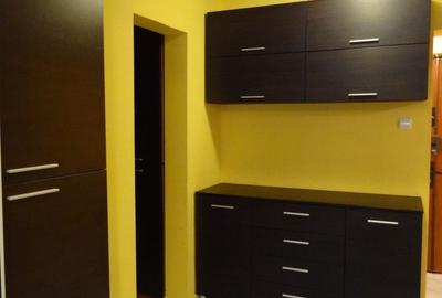 Apartament cu 2 camere decomandat, mobilat în Brâncoveanu - 10