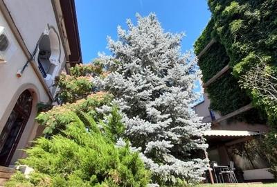 Vila de lux reprezentativa si cocheta cu 5 parcari Calea Victoriei metrou Izvor - 5