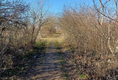 STR.ASTRELOR-TEREN INTRAVILAN-1184mp STR.ASTRELOR-TEREN INTRAVILAN-1184mp - 3