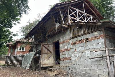 Casa 3 camere +teren 4260 mp livada, zona SUICI -Arges - 13