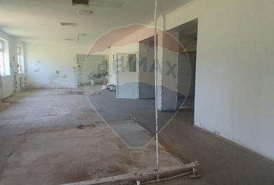 Spatiu comercial central Valea Lunga-Cricov de vanzare 2300 mp teren - 10