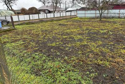 Casă cu 5 camere în Viișoara - 6