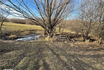 Spațiu comercial, în Bran - 9