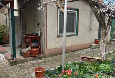 Casă cu 3 camere cu Teren 260 Mp în Aurel Vlaicu - 7