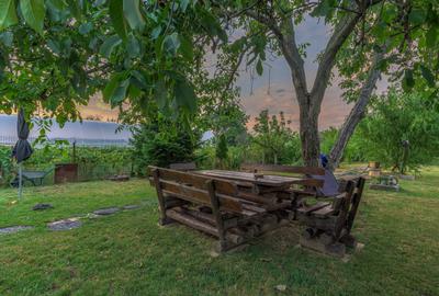 De vanzare vila Cornetu, pentru gospodarul din tine. - 6